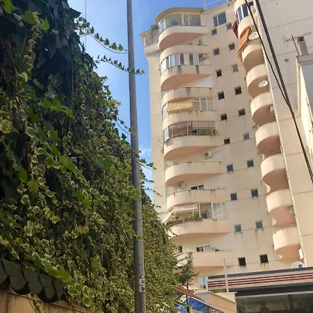 Flo's Tirana